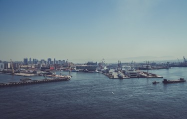 免费ddos网页端